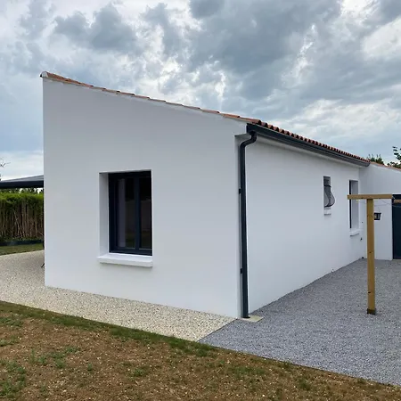 Acacia * Saint-Michel-en-l'Herm